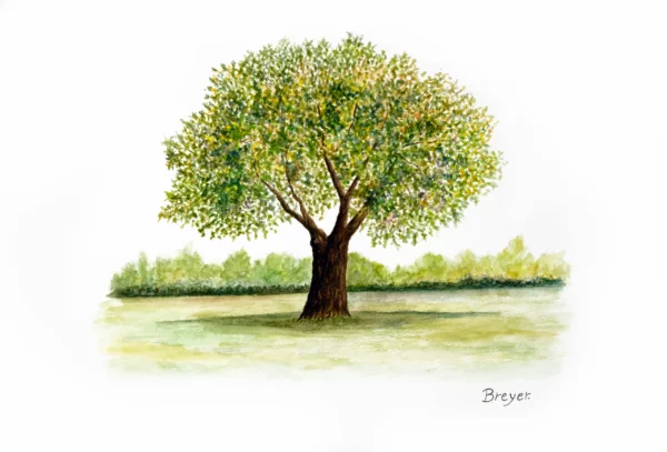 Tree One